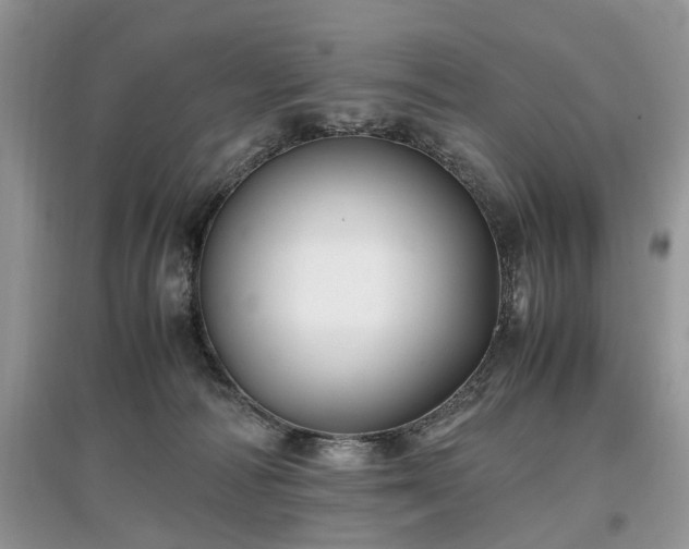 X0000097640226200803071559