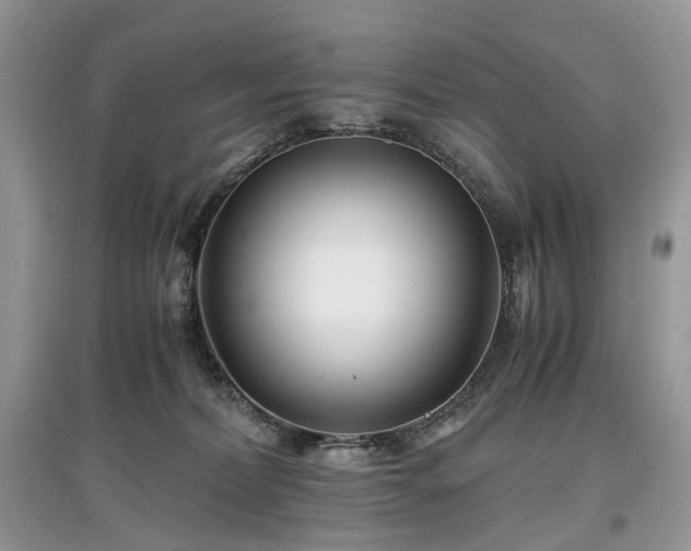 X0000097640228200803071559