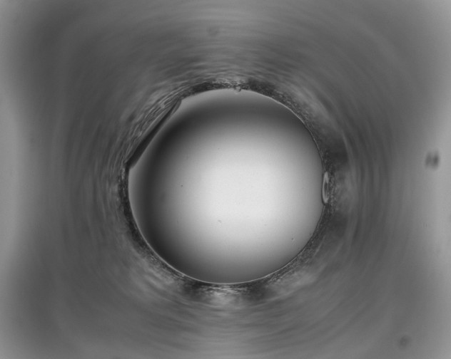 X0000097640229200803071559