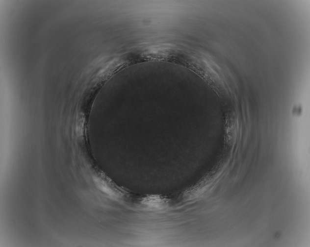 X0000097640231200803071559