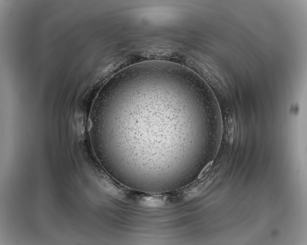 X0000097640232200803071559