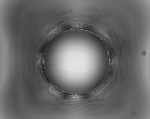 X0000097640233200803071559