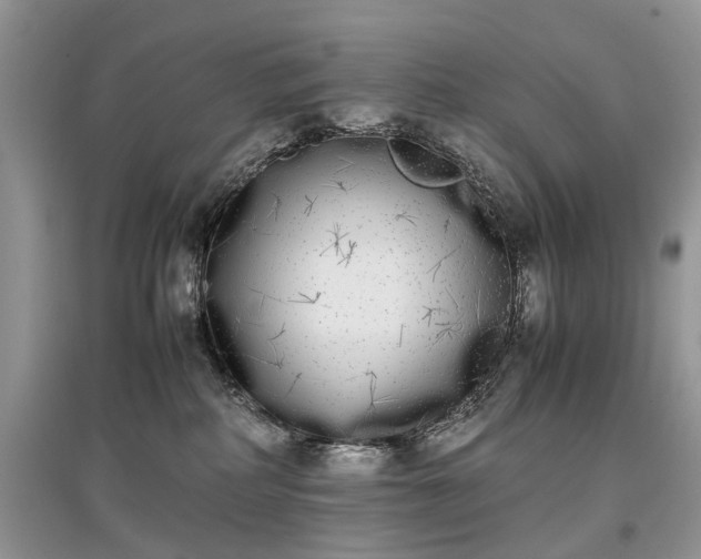 X0000097640234200803071559