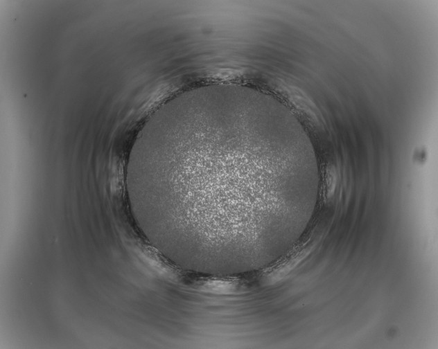 X0000097640236200803071559