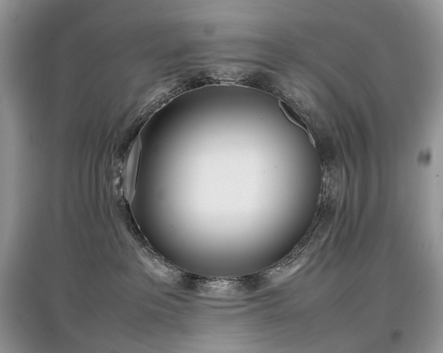 X0000097640237200803071559