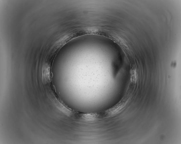 X0000097640238200803071559