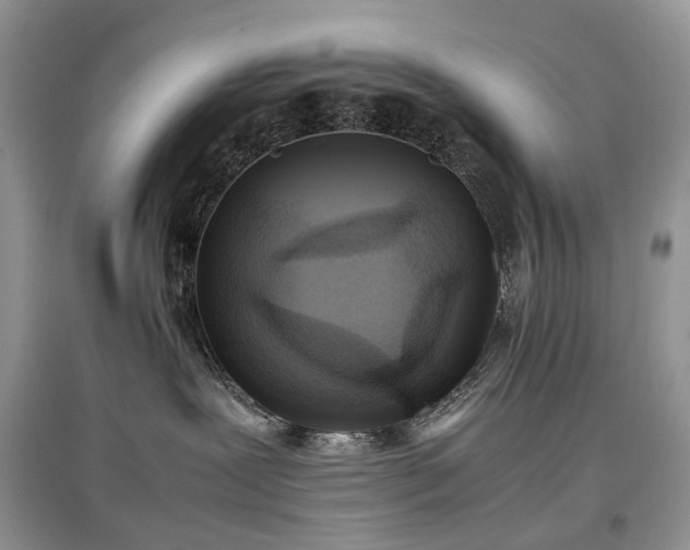 X0000097640239200803071559