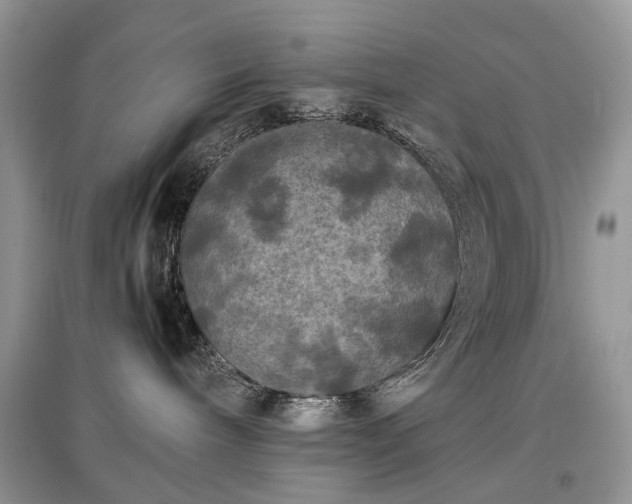 X0000097640240200803071559