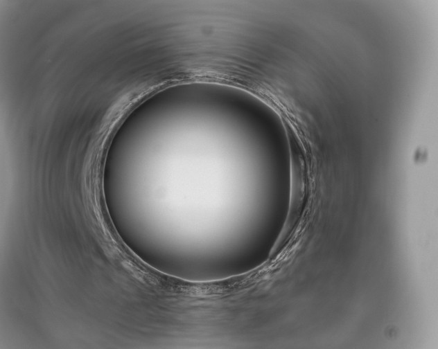 X0000097640241200803071559