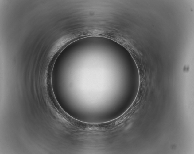 X0000097640242200803071559