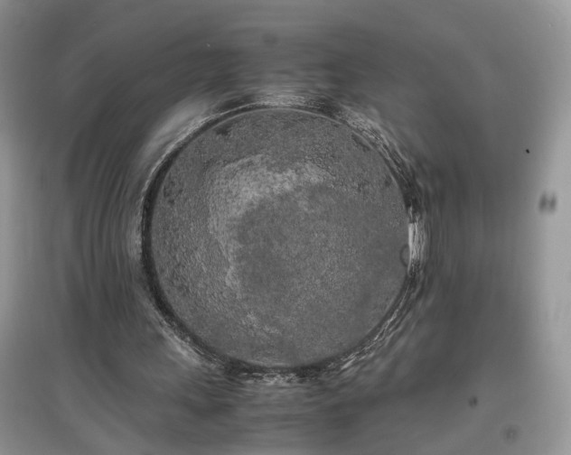 X0000097640243200803071559