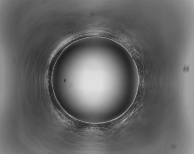 X0000097640244200803071559