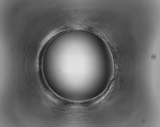 X0000097640246200803071559