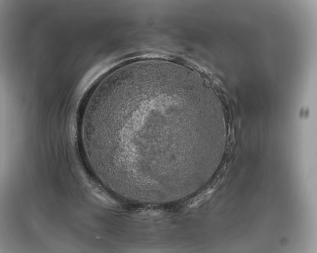 X0000097640247200803071559