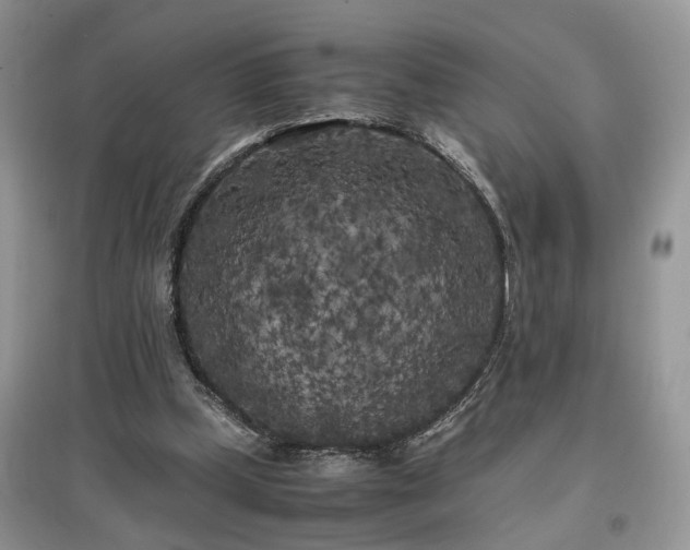 X0000097640249200803071559