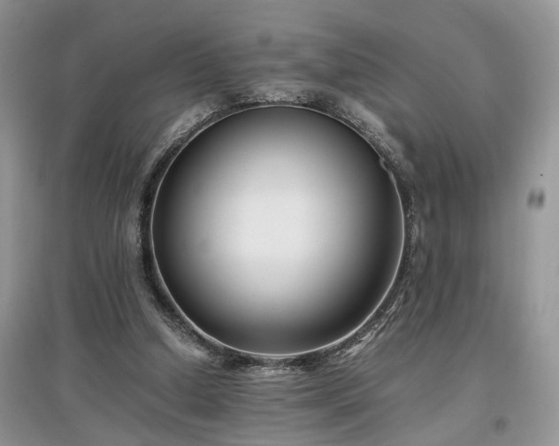 X0000097640250200803071559