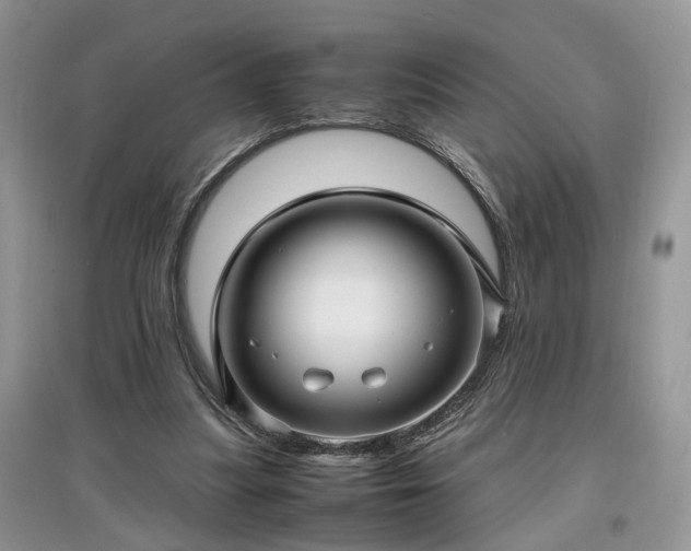 X0000097640251200803071559