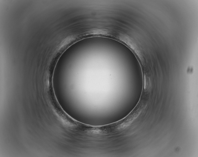 X0000097640253200803071559