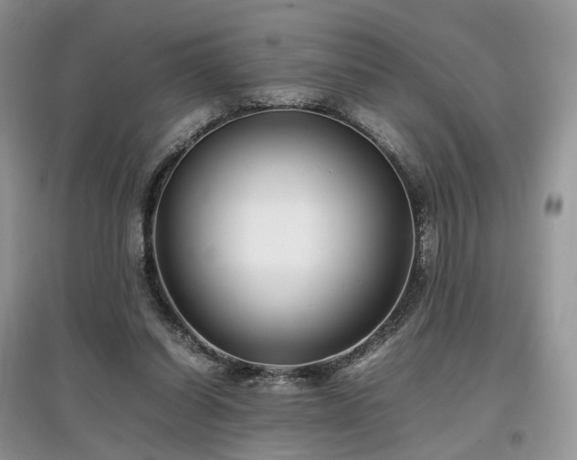 X0000097640254200803071559