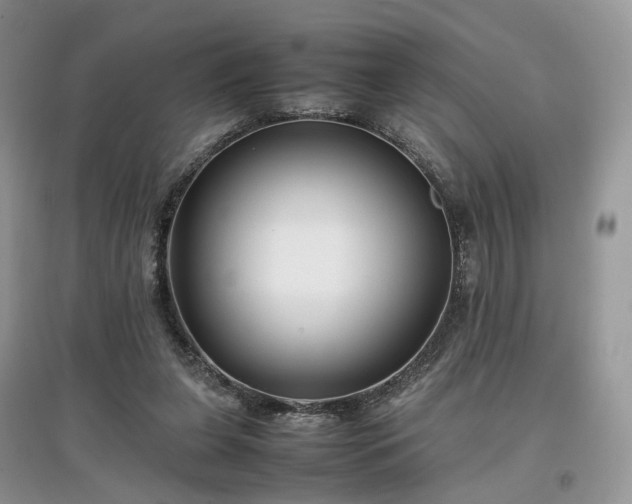 X0000097640255200803071559