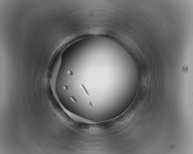 X0000097640256200803071559