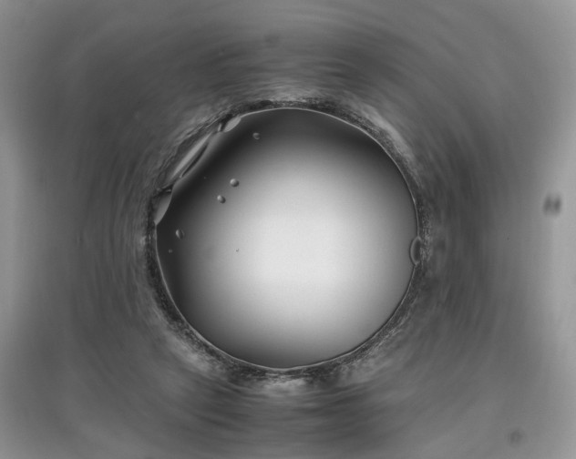 X0000097640257200803071559