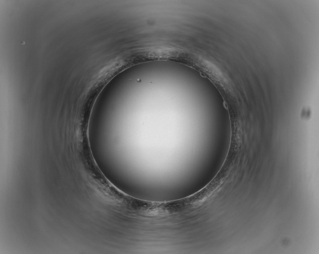 X0000097640258200803071559