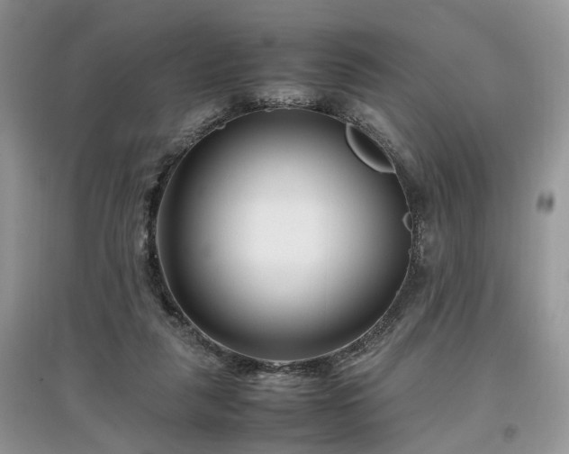 X0000097640259200803071559