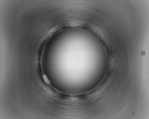 X0000097640260200803071559