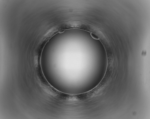 X0000097640262200803071559