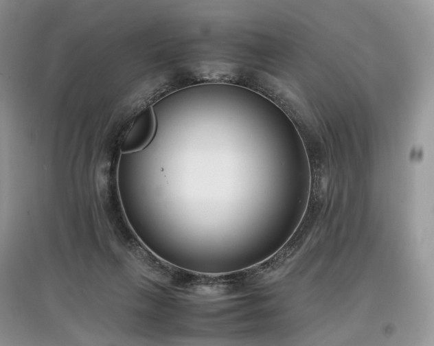 X0000097640263200803071559