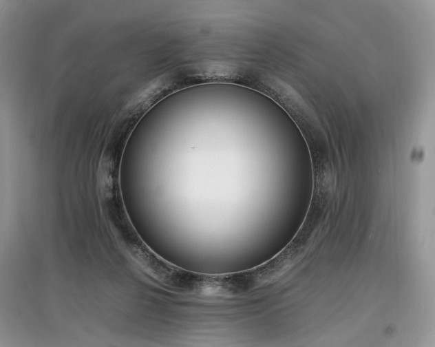 X0000097640264200803071559