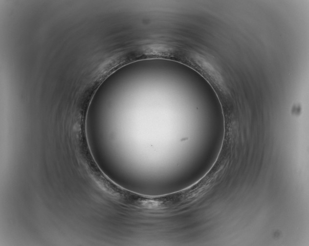 X0000097640265200803071559