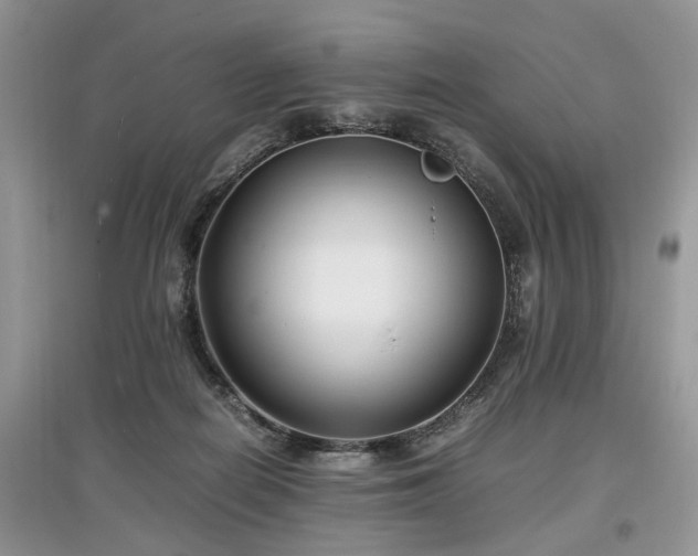 X0000097640266200803071559