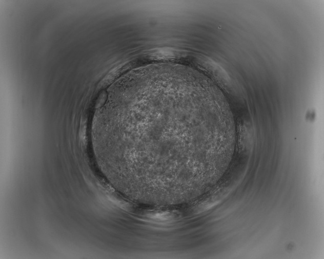 X0000097640267200803071559