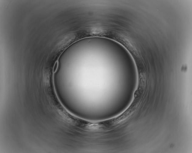 X0000097640269200803071559