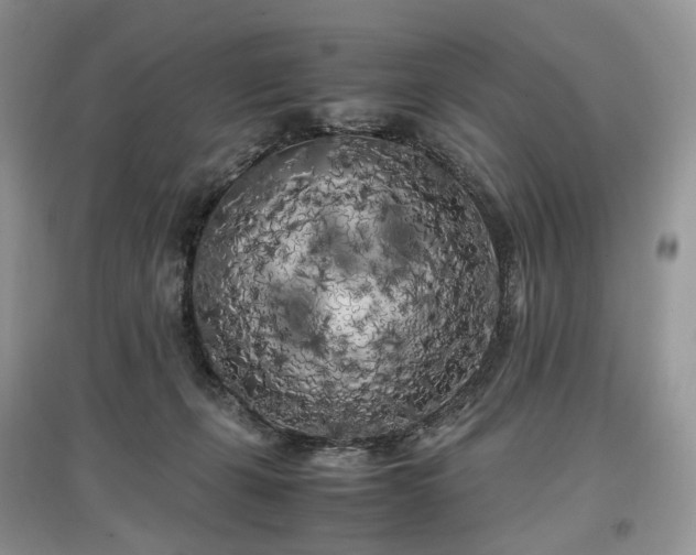 X0000097640271200803071559