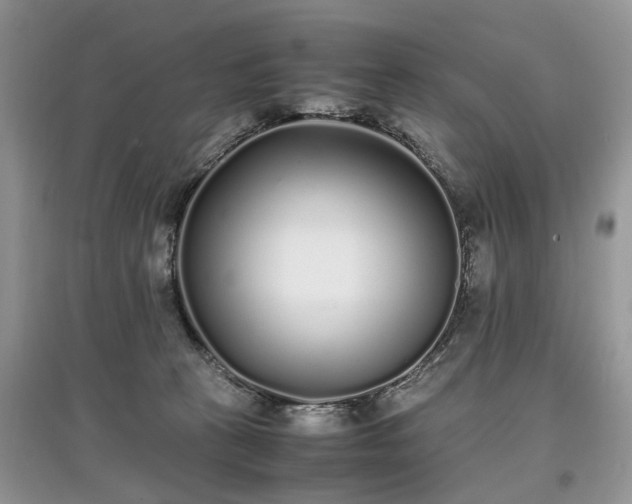 X0000097640273200803071559