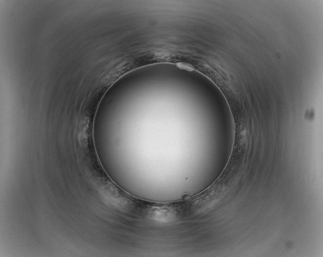 X0000097640275200803071559