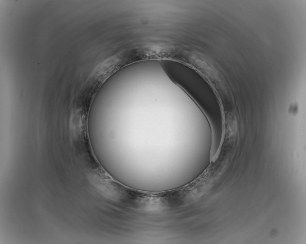 X0000097640276200803071559