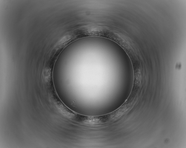 X0000097640278200803071559