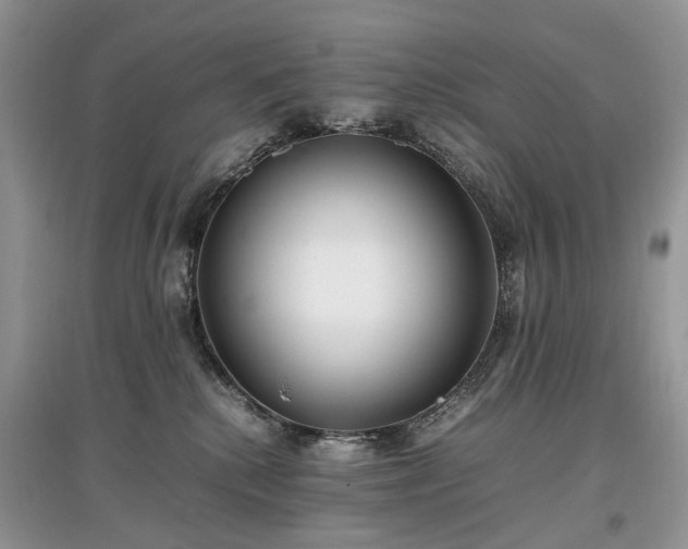 X0000097640280200803071559