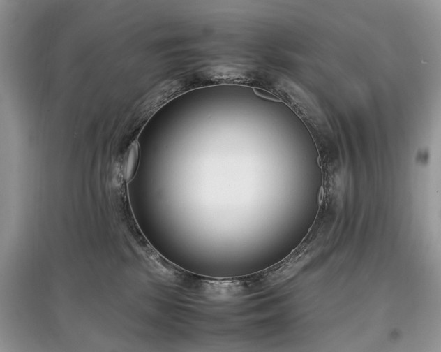 X0000097640281200803071559