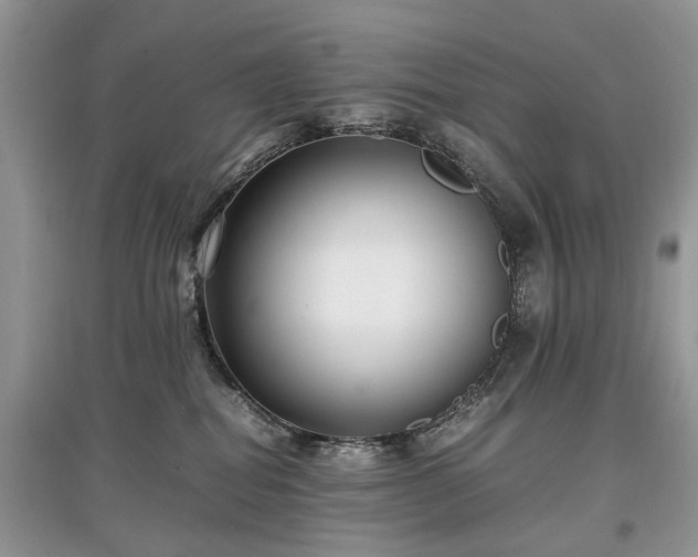 X0000097640282200803071559