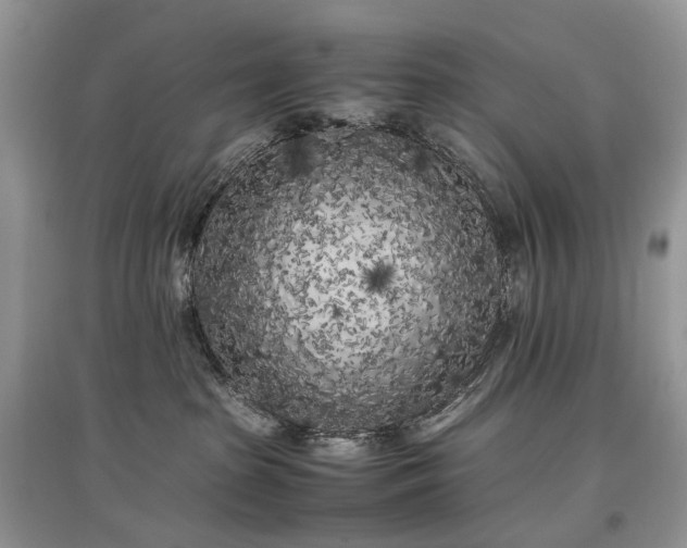 X0000097640285200803071559