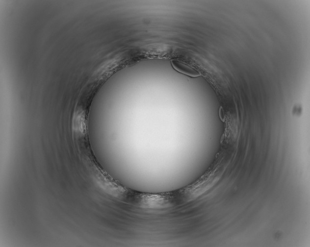 X0000097640287200803071559