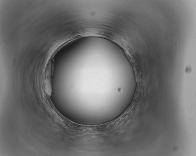 X0000097640289200803071559