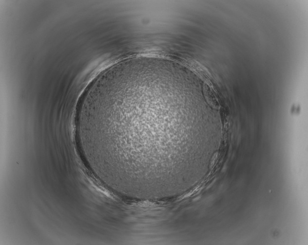 X0000097640290200803071559