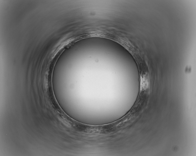 X0000097640291200803071559