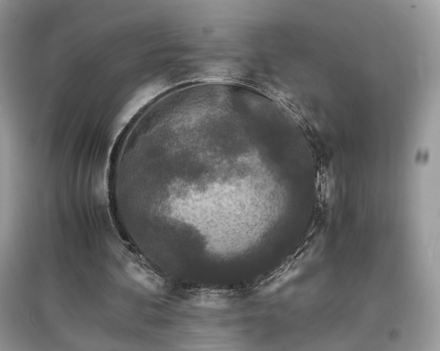 X0000097640292200803071559